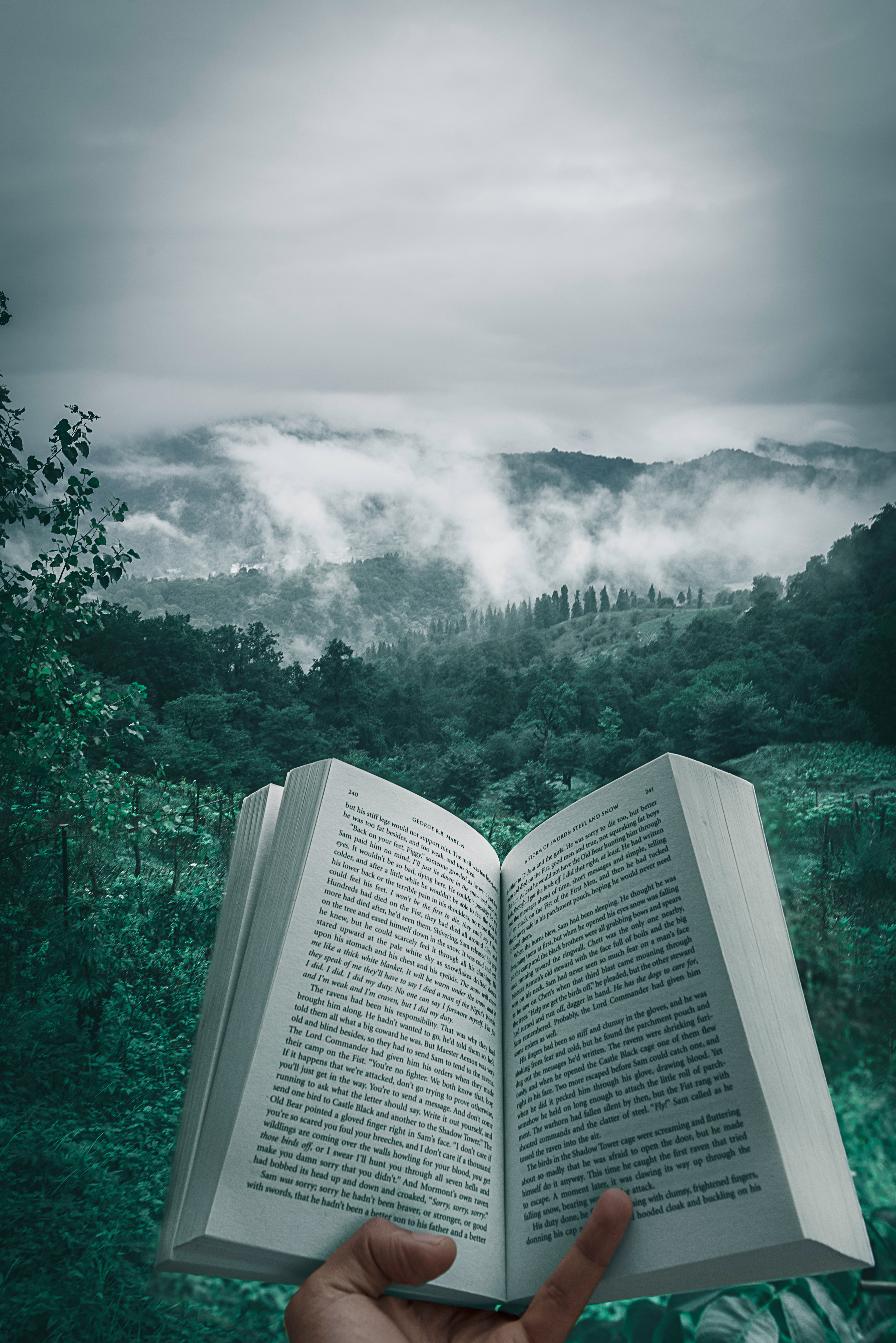 Open book over a foggy forest